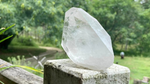 Lemurian Seed Quartz Tantric Twin Cathedral Timekeeper