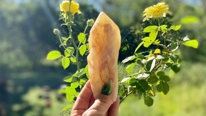 Dragon Tooth Citrine Quartz Natural Point