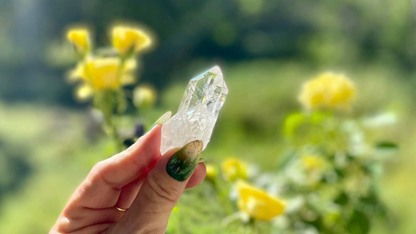 Lemurian Seed Cathederal Mini Cluster