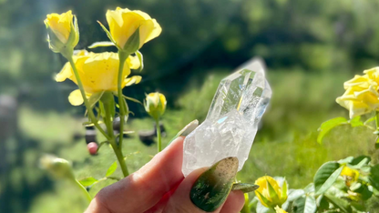Lemurian Seed Cathederal Mini Cluster
