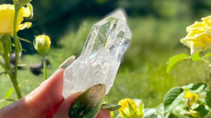 Lemurian Seed Cathederal Mini Cluster