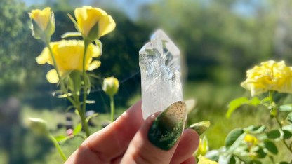 Lemurian Seed Cathederal Mini Cluster