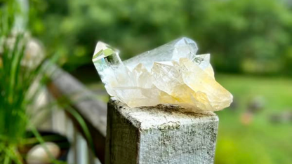 Rare AAA Grade Lemurian Clear Quartz Cluster With Golden Healer |Brazil |Master Healer,Amplifier, Programmer | 787 Grams