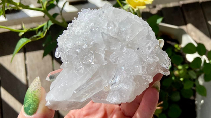 Lemurian Seed Mini Point Cluster AAA+ Grade