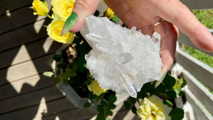 Lemurian Seed Mini Point Cluster AAA+ Grade