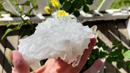 Lemurian Seed Mini Point Cluster AAA+ Grade