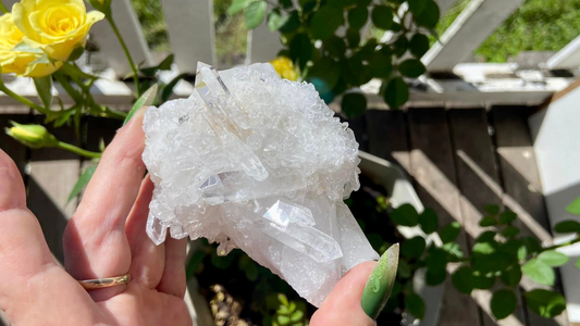 Lemurian Seed Mini Point Cluster AAA+ Grade