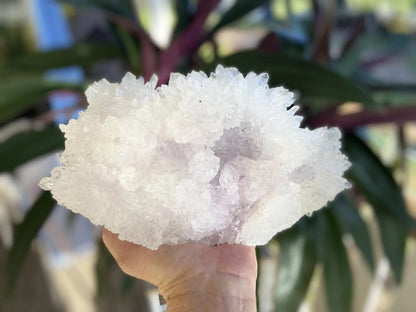 Rare Amethyst Flower Agate Specimen: Collectors Crystal 1257 grams