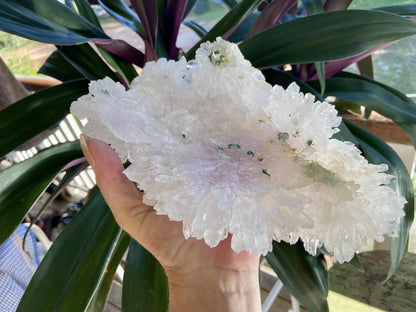 Rare Amethyst Flower Agate Specimen: Collectors Crystal 1257 grams