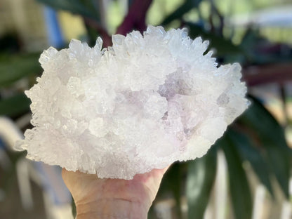 Rare Amethyst Flower Agate Specimen: Collectors Crystal 1257 grams