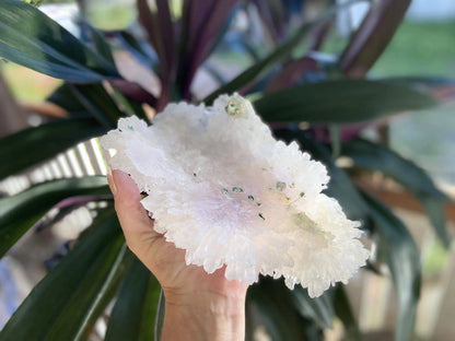 Rare Amethyst Flower Agate Specimen: Collectors Crystal 1257 grams