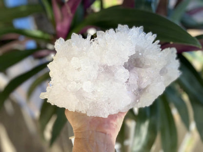 Rare Amethyst Flower Agate Specimen: Collectors Crystal 1257 grams