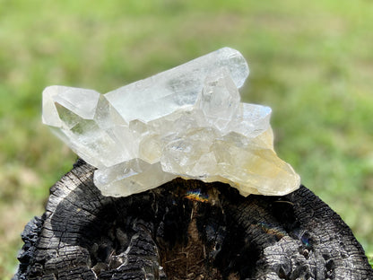 Rare AAA Grade Lemurian Clear Quartz Cluster With Golden Healer |Brazil |Master Healer,Amplifier, Programmer | 787 Grams