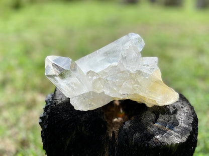Rare AAA Grade Lemurian Clear Quartz Cluster With Golden Healer |Brazil |Master Healer,Amplifier, Programmer | 787 Grams