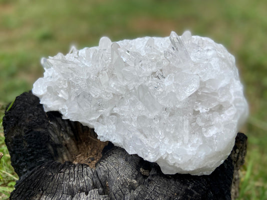 Lemurian Seed Quarz Cluster AAA+++