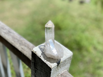 Lemurian Seed Quartz Cluster