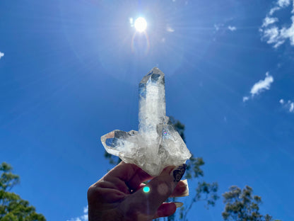 Lemurian Seed Quartz Cluster