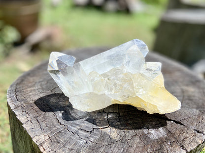 Rare AAA Grade Lemurian Clear Quartz Cluster With Golden Healer |Brazil |Master Healer,Amplifier, Programmer | 787 Grams