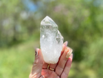 Lemurian Seed Quartz