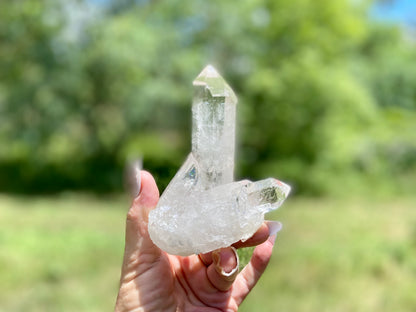 Lemurian Seed Quartz Cluster