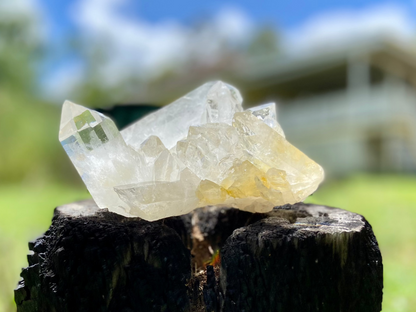 Rare AAA Grade Lemurian Clear Quartz Cluster With Golden Healer |Brazil |Master Healer,Amplifier, Programmer | 787 Grams