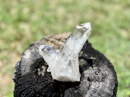 Lemurian Seed Quartz Cluster