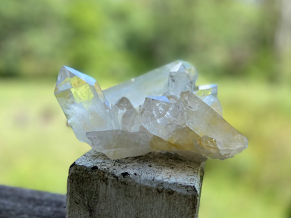 Rare AAA Grade Lemurian Clear Quartz Cluster With Golden Healer |Brazil |Master Healer,Amplifier, Programmer | 787 Grams