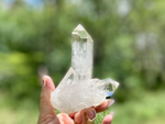 Lemurian Seed Quartz Cluster