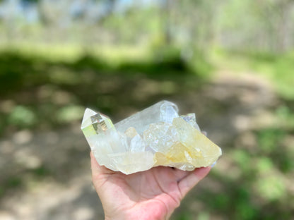 Rare AAA Grade Lemurian Clear Quartz Cluster With Golden Healer |Brazil |Master Healer,Amplifier, Programmer | 787 Grams