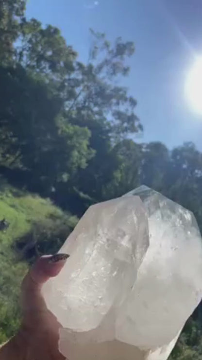 Gigantic Cathedral Lemurian Seed Quartz Record Keeper and Energetic Library A Grade