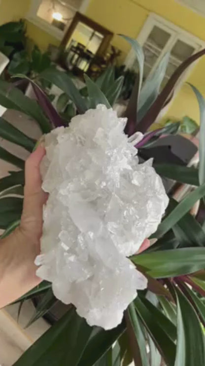 Lemurian Seed Quartz Cluster A+ Grade
