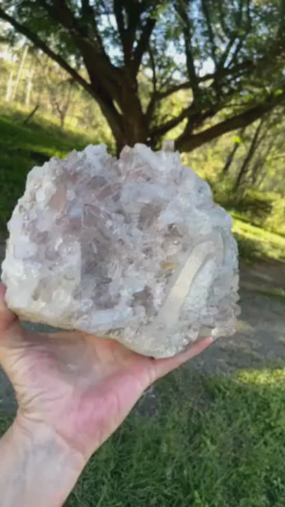 Sacred Rose Pink Lithium Lemurian Seed Colombian Quartz Cluster
