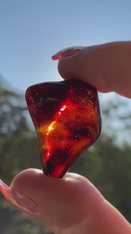 Rare Red Fire Baltic Amber with Ancient Organic Inclusions: Collector's Gem
