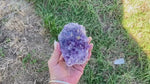 Amethyst Cluster