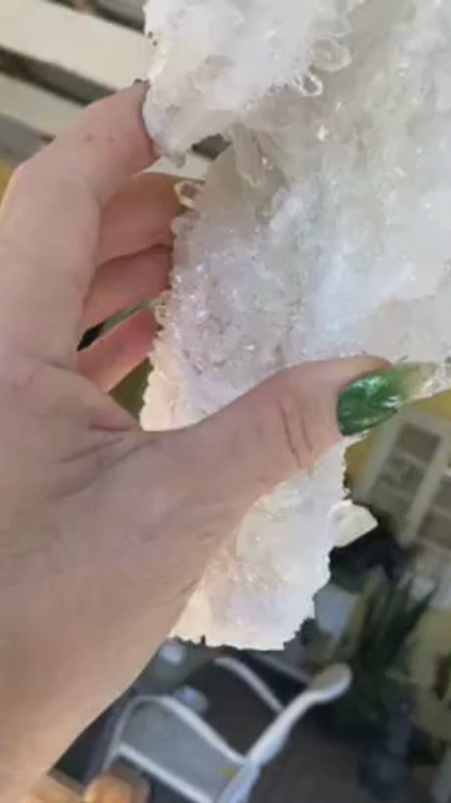 Lemurian Seed Mini Point Cluster AAA+ Grade