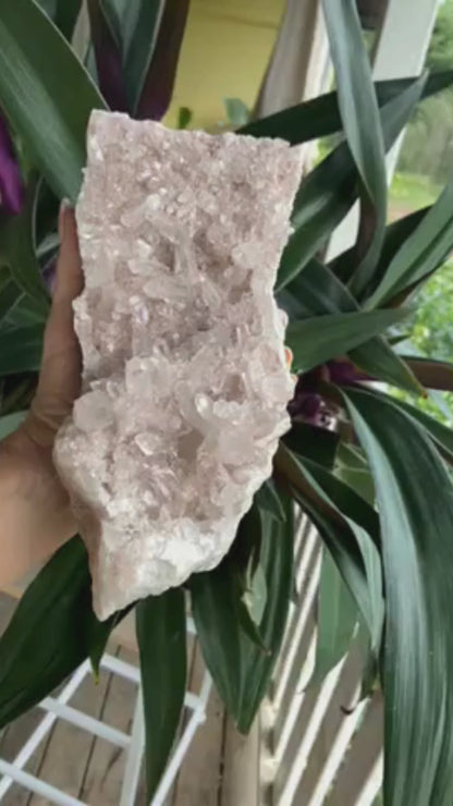 Sacred Rose Pink Lithium Lemurian Colombian Quartz Cluster AAA+++