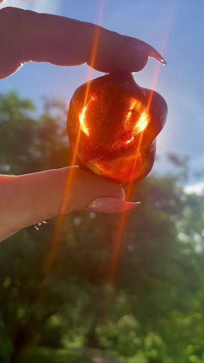 Rare Red Fire Baltic Amber with Ancient Organic Inclusions: Collector's Gem