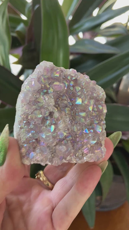 Pearl Amethyst Angel Aura Quartz Cluster Standing