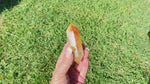 Citrine Double Terminated Wand