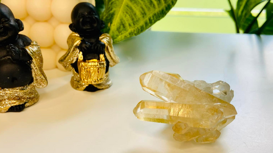 Golden Healer Lemurian Seed Quartz Cluster