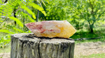 Dragons Tooth Citrine Quartz  Natural Point