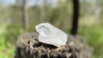 Lemurian Seed Quartz Natural Point