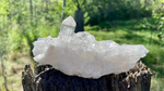 Lemurian Seed  Mini Quartz Cluster