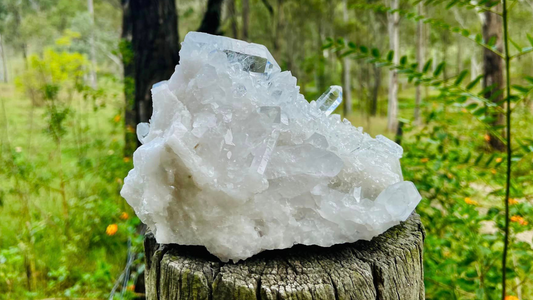 Lemurian Seed Quartz Cluster X Grade