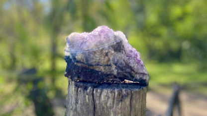 Amethyst Cluster