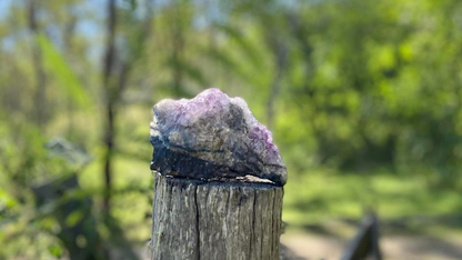 Amethyst Cluster