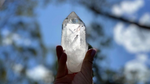 Lemurian Seed Natural Point Quartz Timekeeper