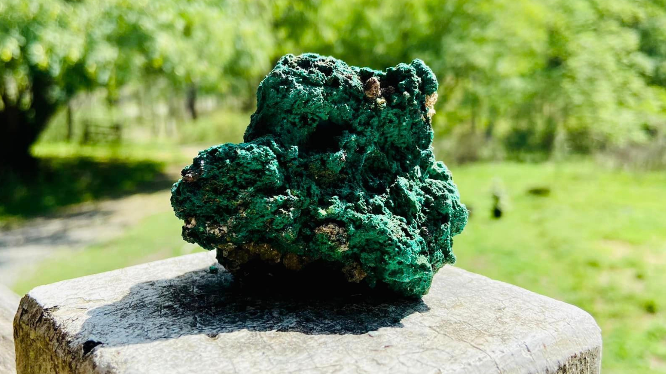 African Malachite