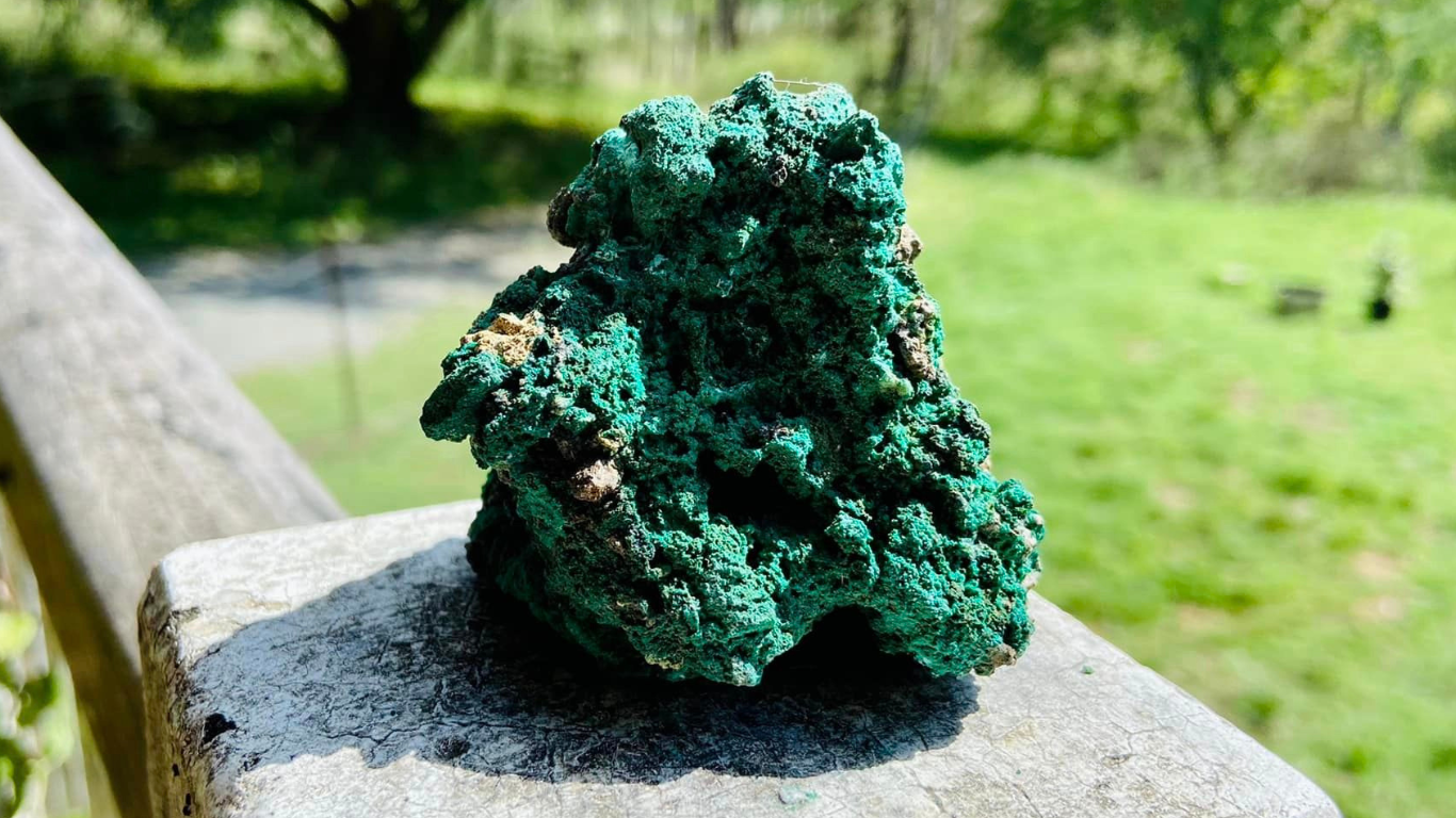 African Malachite