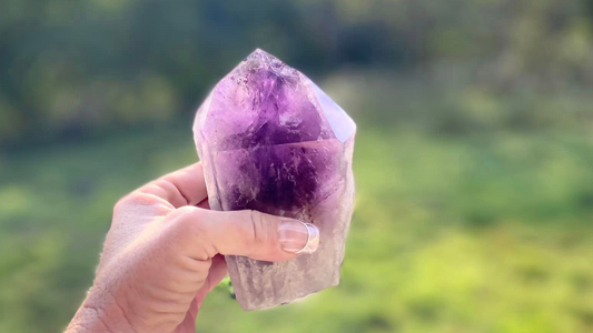 Dragons Tooth Amethyst Natural Point